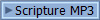 Scripture MP3