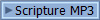 Scripture MP3